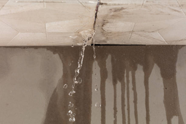Professional Burst Pipe Cleanup technician working in La Grange, TX
